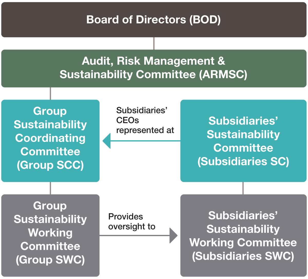 Group Sustainability Governance Structure